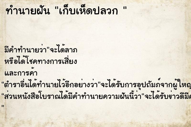 ทำนายฝันทำนายฝันเก็บเห็ดปลวก